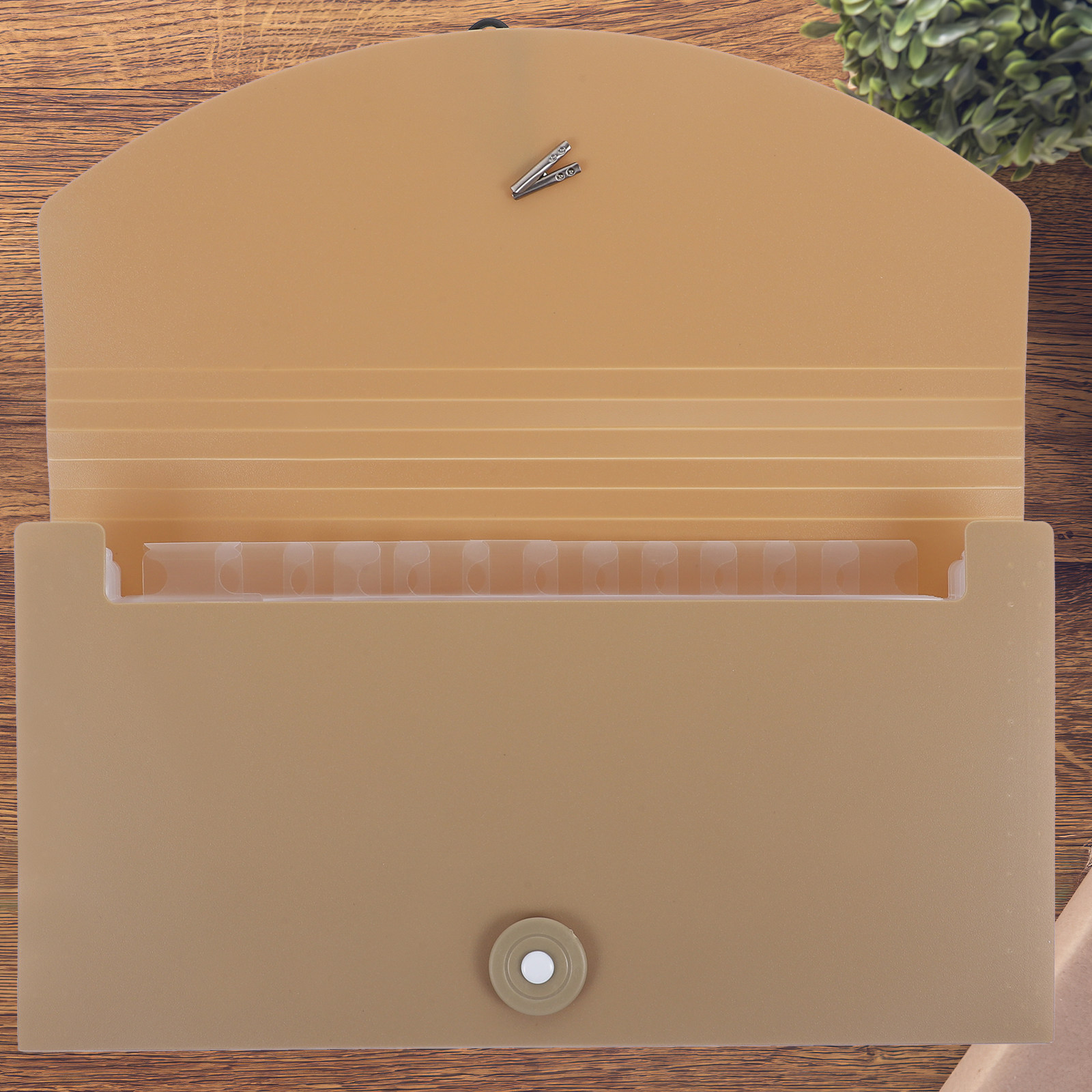 Organizzatore per documenti a  - Expandable Accordion File Folder 13 Pockets recensione e prezzo
